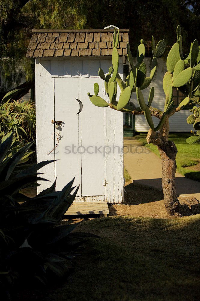 Similar – Image, Stock Photo LAVATORY Trip Summer