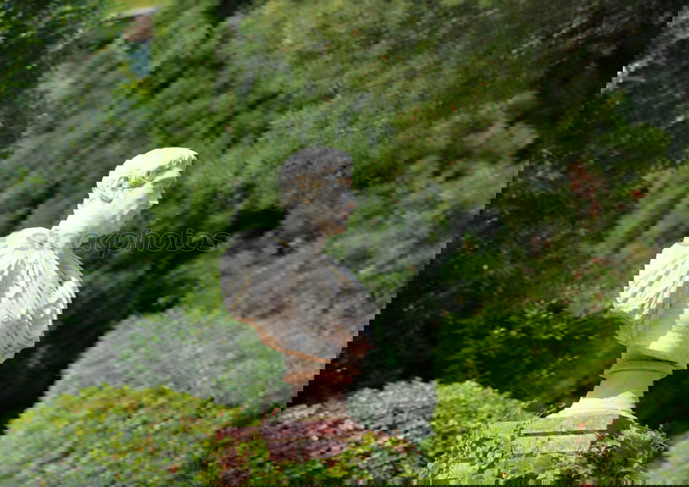 Similar – Image, Stock Photo Ni andaddschorn Tourism