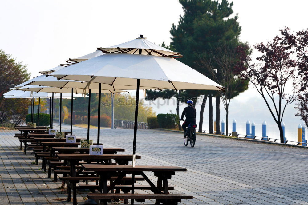 Leerer, geschlossener Biergarten mit schöner Aussicht und Baum.