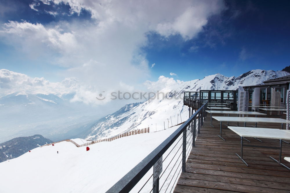 Similar – Seasonal canopy Nature Sky