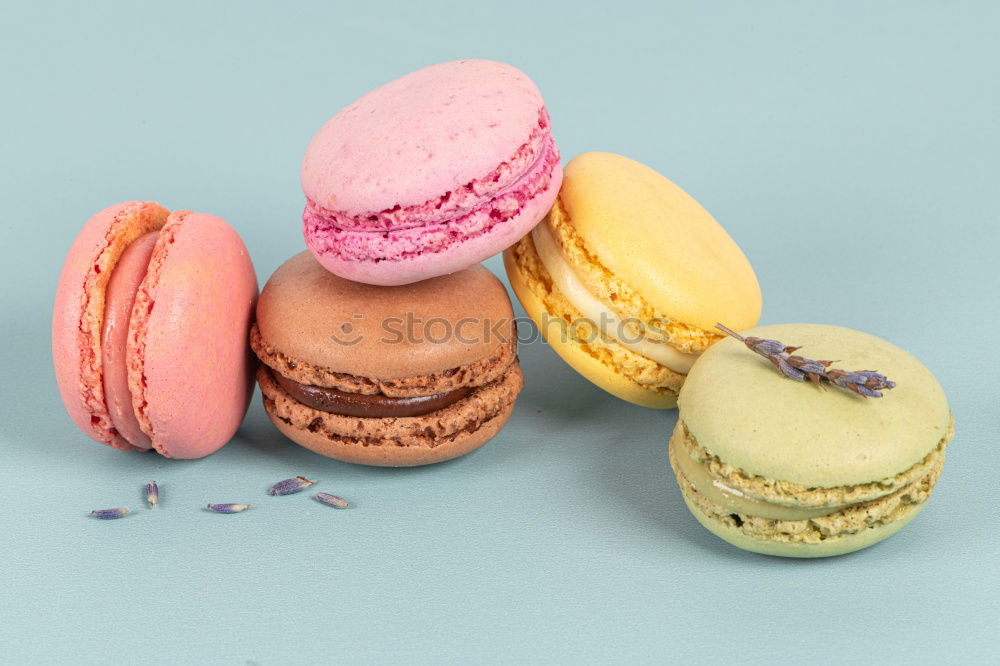 Similar – Image, Stock Photo Colorful macarons on white wooden table