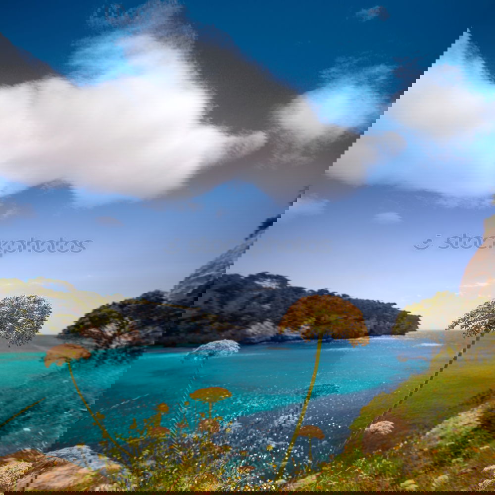 Similar – Image, Stock Photo Mallorca from its beautiful side 53