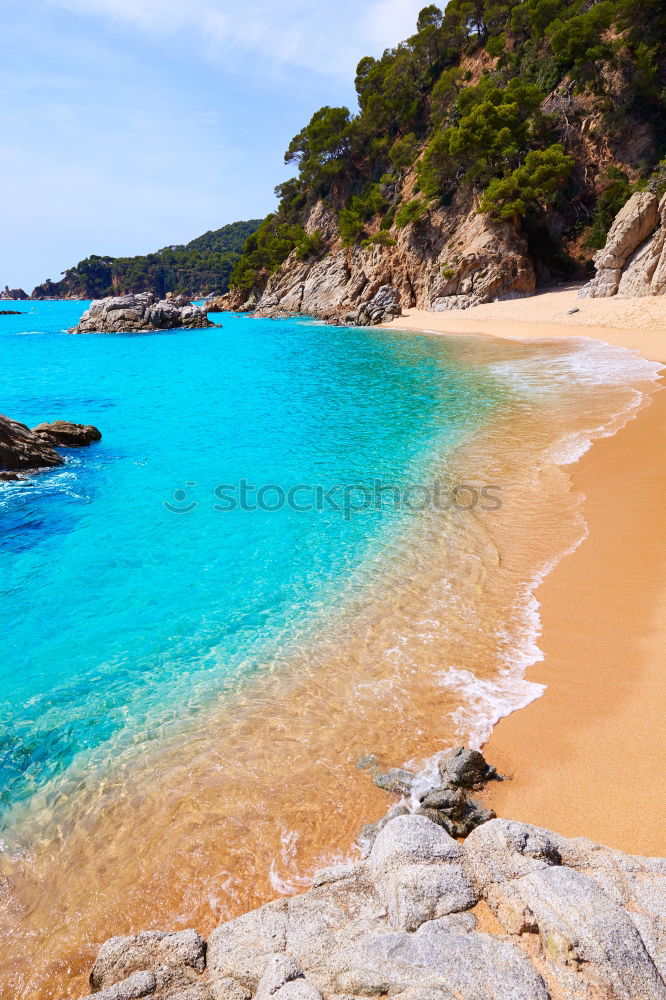 Image, Stock Photo Cinque Terre XX Nature