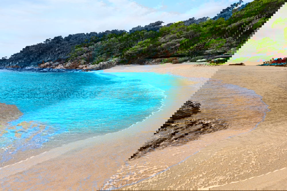 Similar – Image, Stock Photo more seas for all Gorgeous