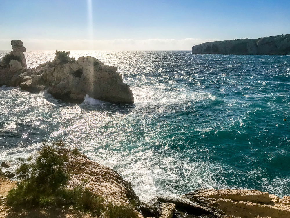 Similar – Image, Stock Photo coastal meadow Environment