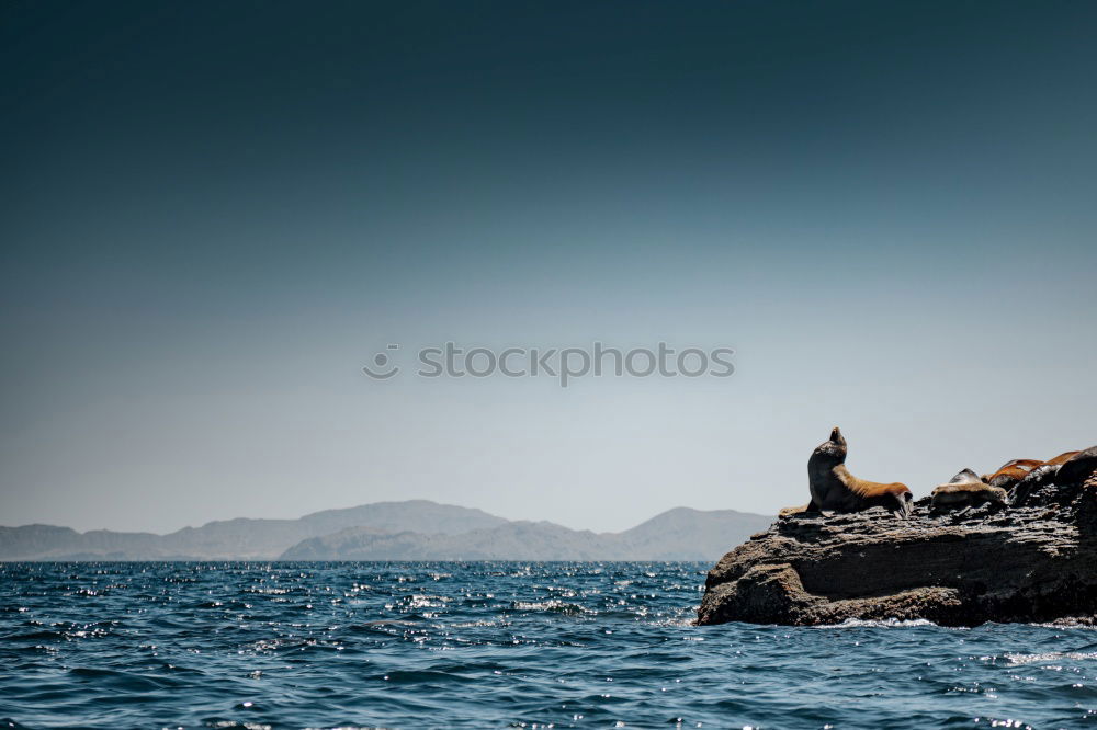 Similar – Boat in the waves