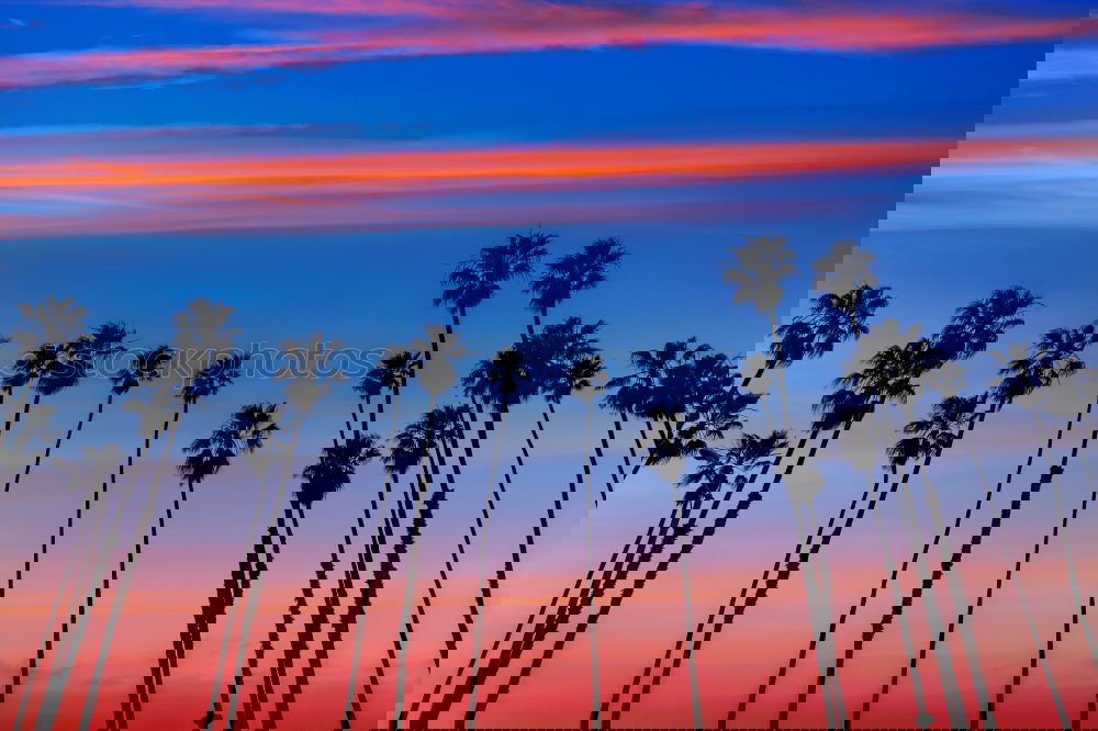 Similar – Image, Stock Photo Sunset in Venice