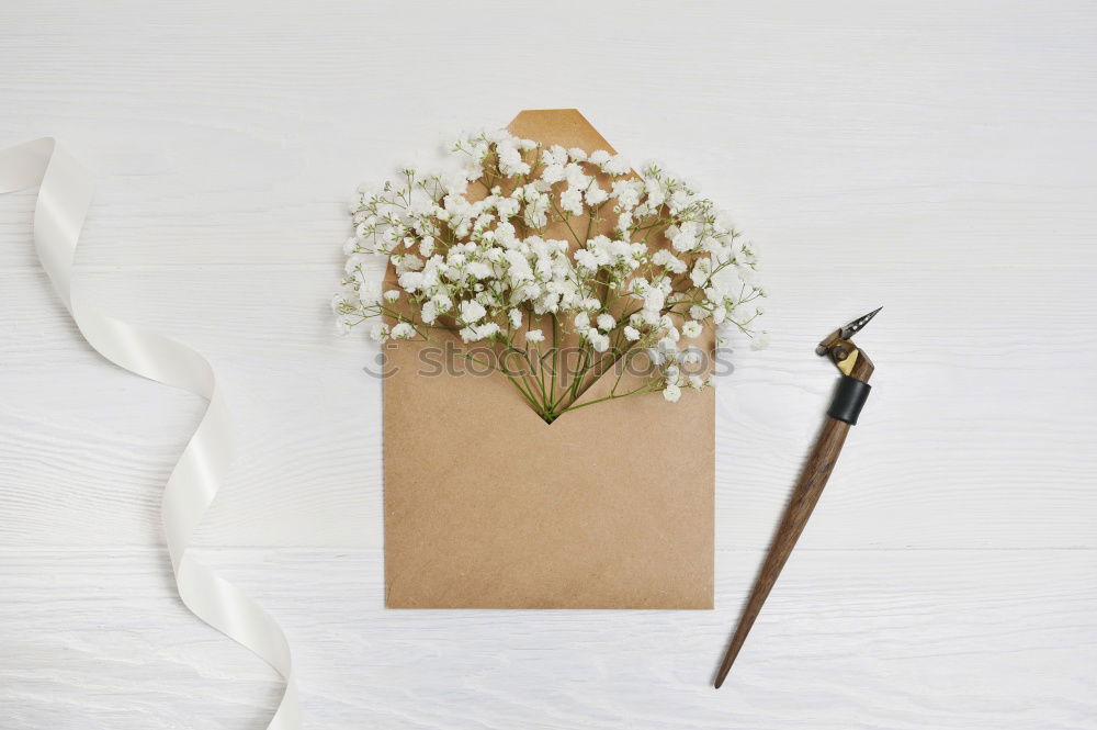 Similar – Image, Stock Photo dried flowers in a glass frame