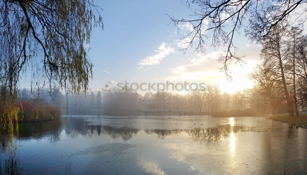 Similar – Elbe banks in Dresden