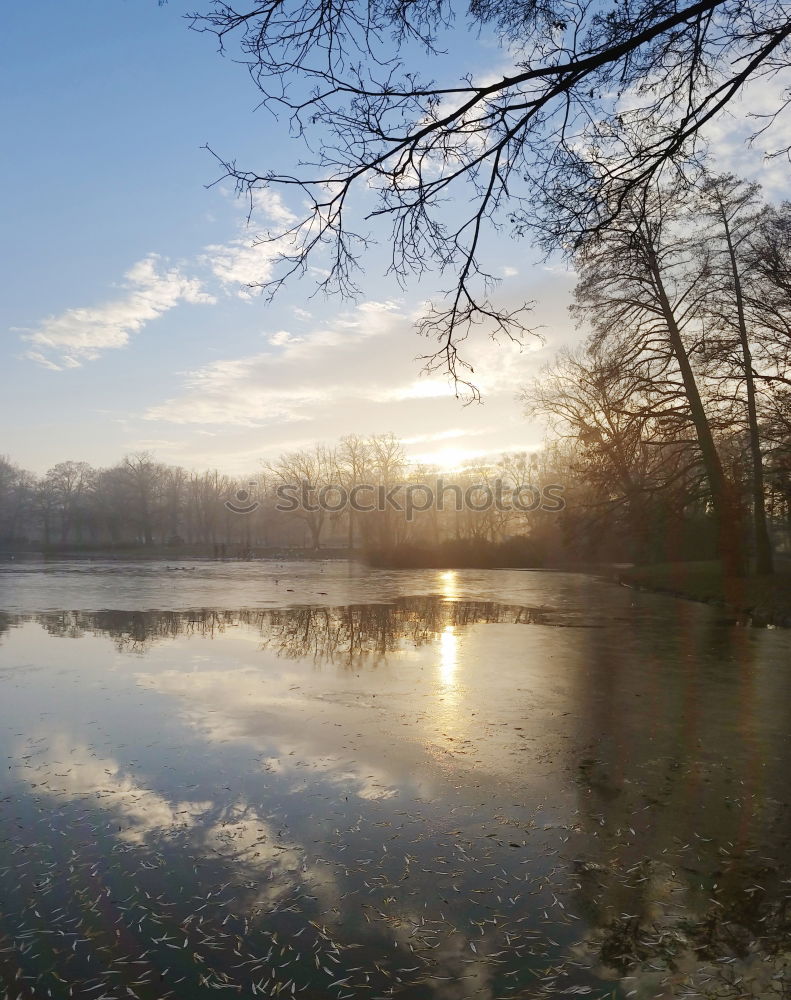 Similar – silent Nature Landscape