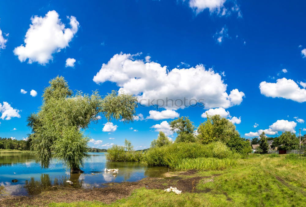 Similar – Image, Stock Photo Archipelago on the Swedish coast