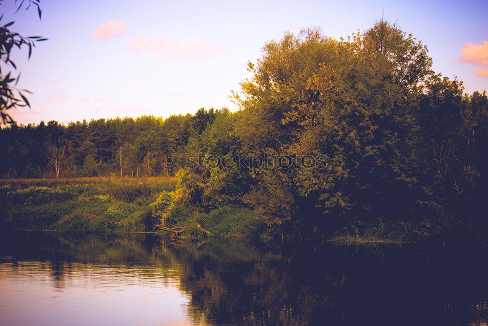 Similar – Foto Bild Am See Umwelt Natur