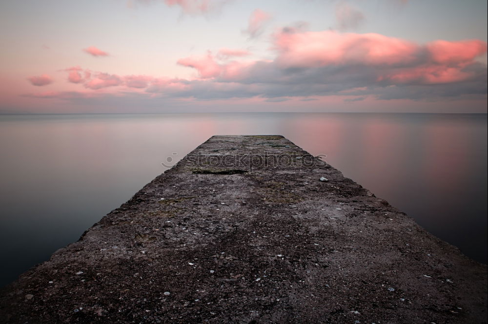 Similar – Driftwood on the coast of the Baltic Sea