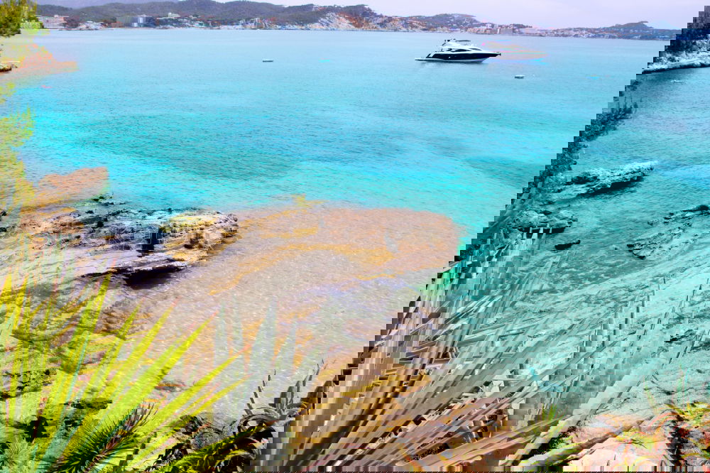 Similar – Image, Stock Photo more seas for all Gorgeous
