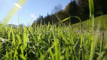 Similar – Lawn mower in fast motion