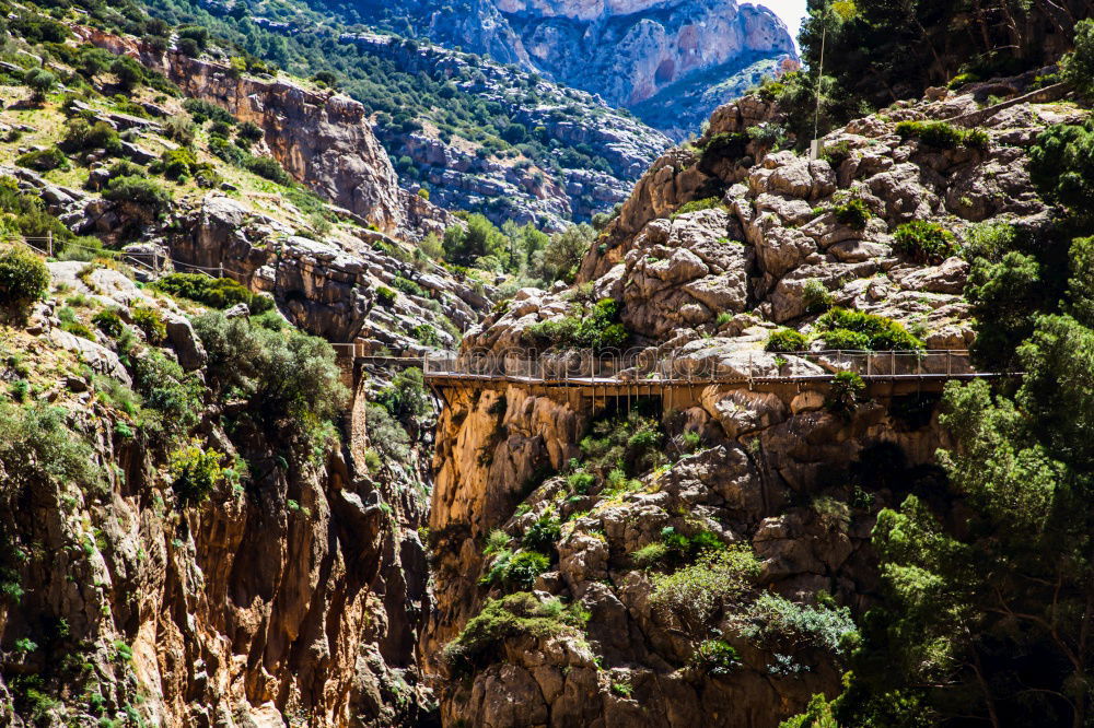 Caminito del Rey