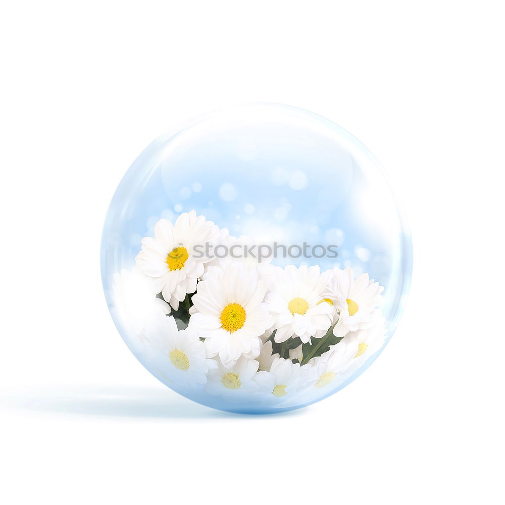 Similar – Image, Stock Photo Happy Easter! Spring