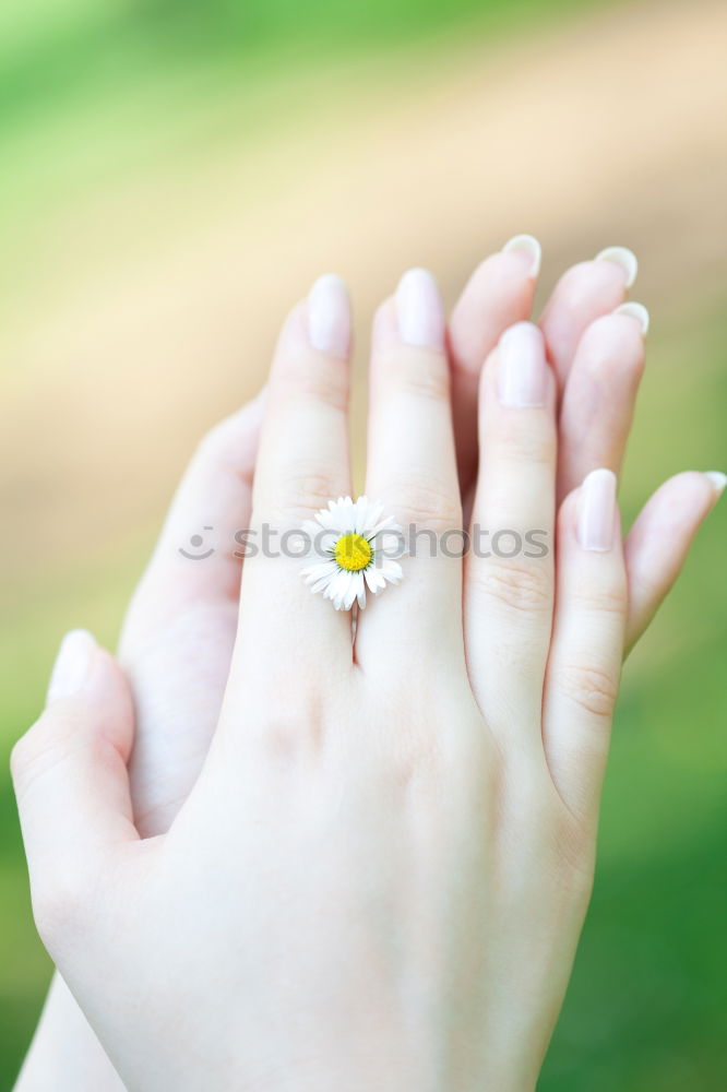 Similar – Image, Stock Photo Flower_and_foot-1