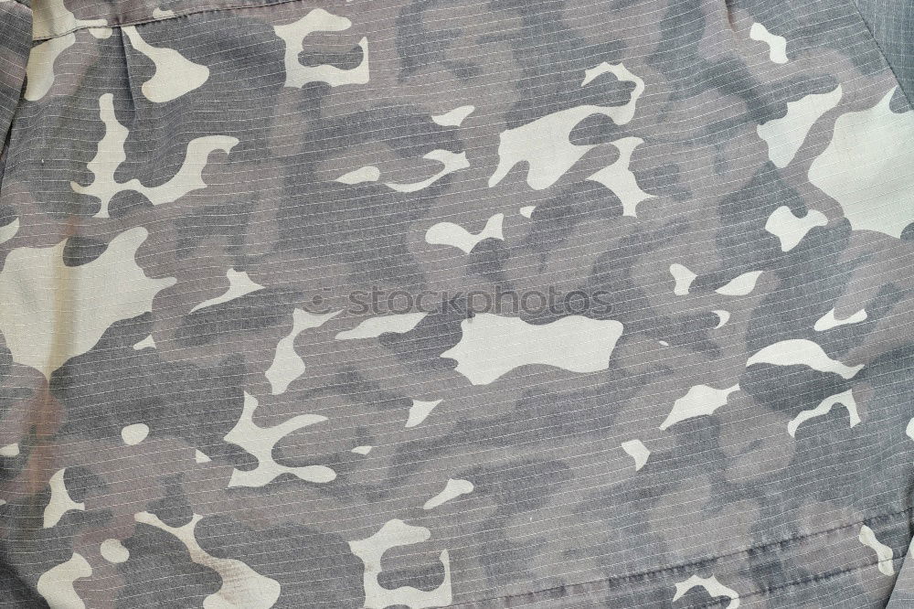 Similar – camouflage Camouflage