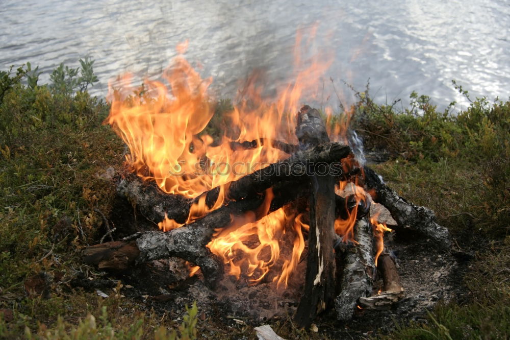 Similar – Man lights a fire in the fireplace