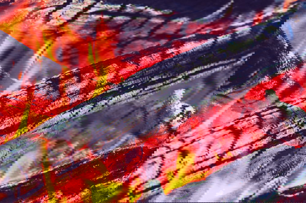 Similar – Foto Bild ::: Die Glut, ist gut 2 :::
