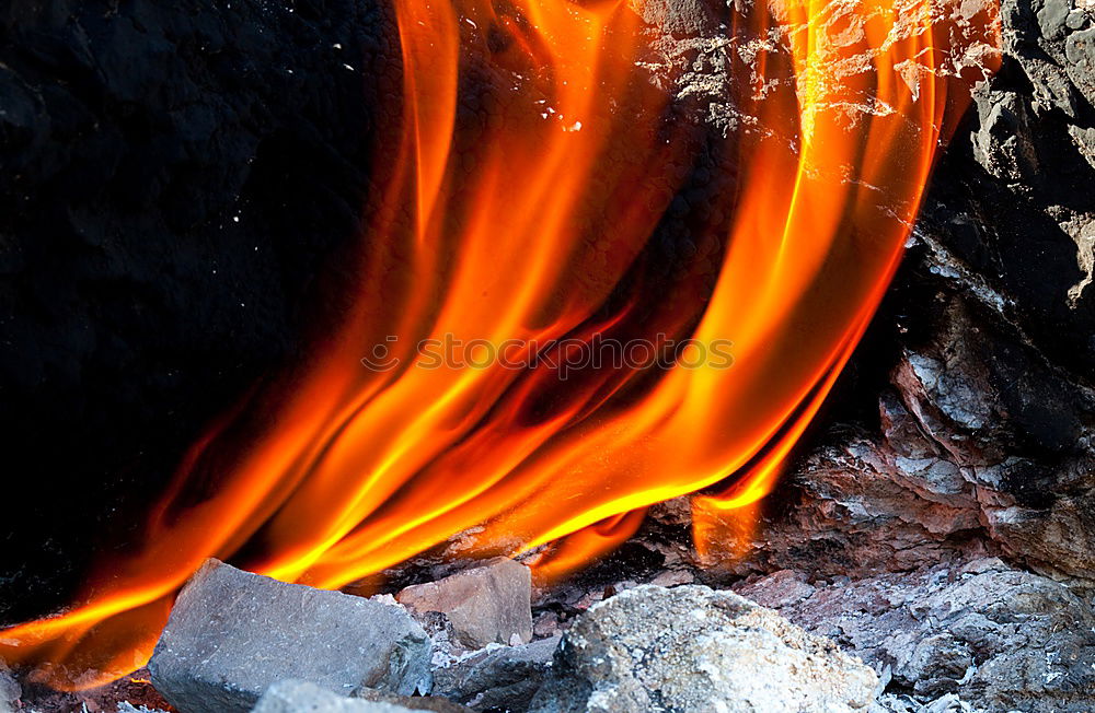 Similar – Image, Stock Photo barbecue coal Lunch Dinner