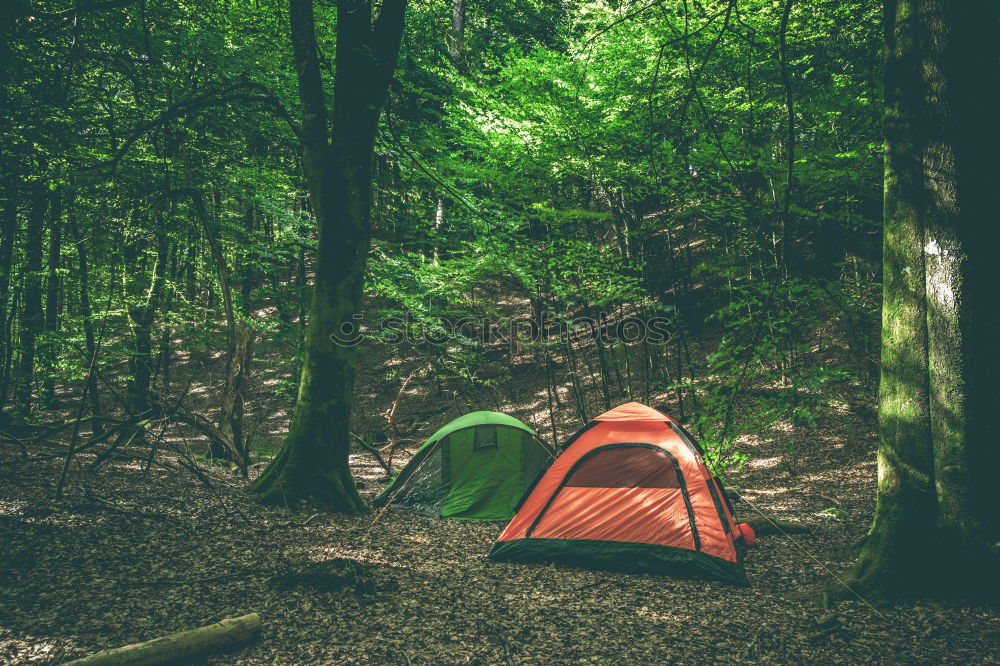 Similar – Orange tent in a pine forest