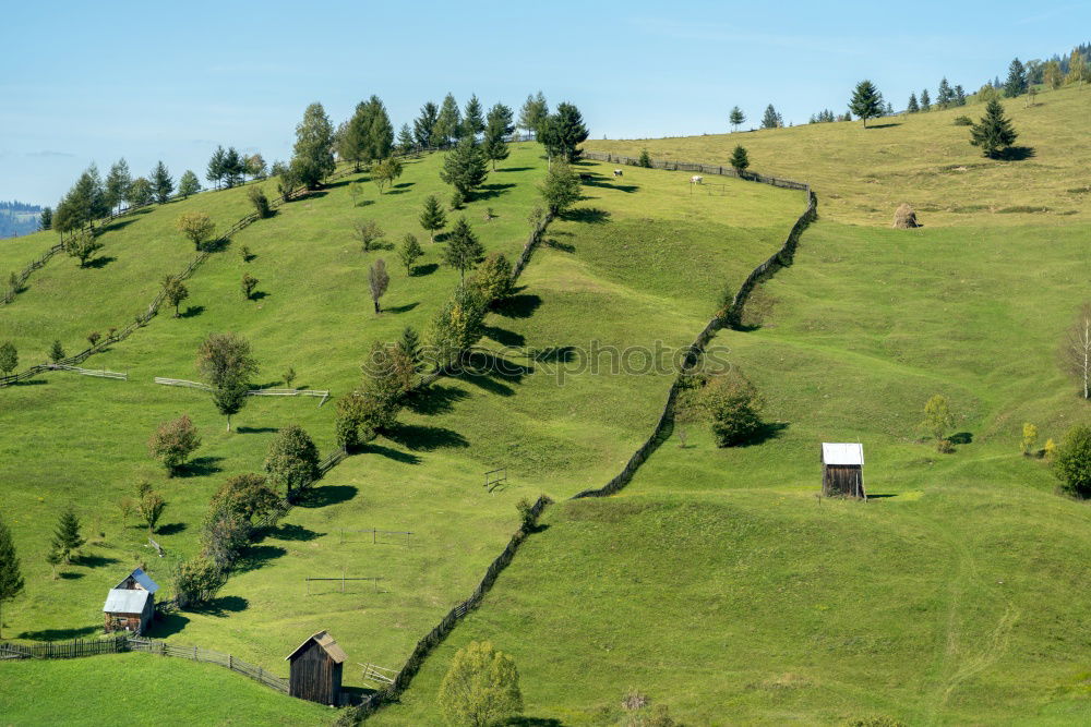 Similar – Sheep pasture | Timmelsjoch, South Tyrol