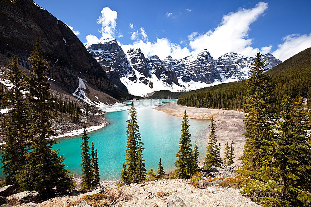 Similar – Moraine Lake, Canada Tree