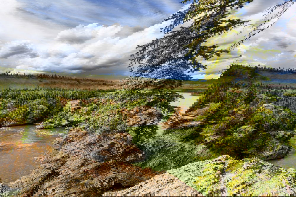 Image, Stock Photo Yukon Forest Rock