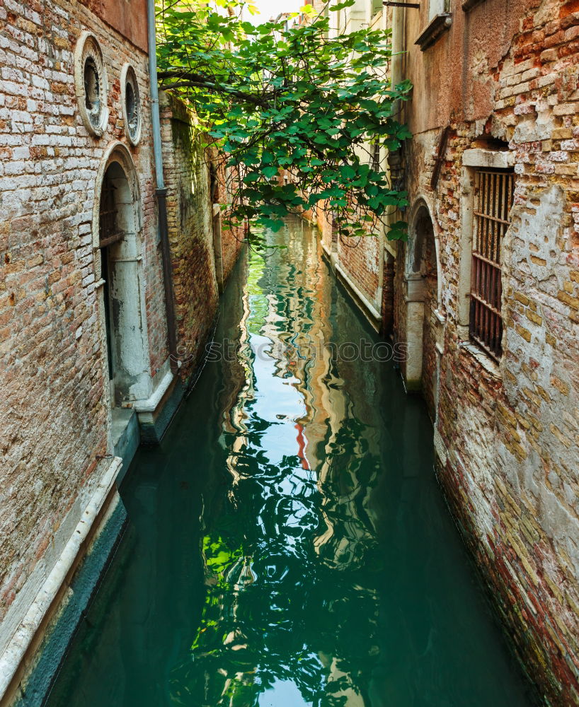 Similar – Image, Stock Photo Canal in Venice