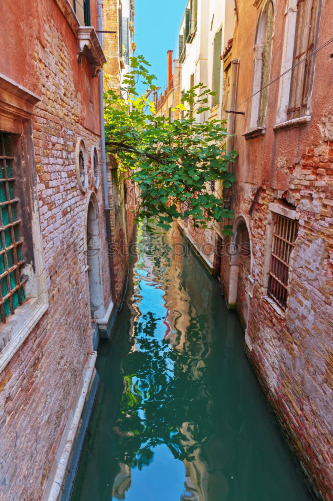 Similar – Image, Stock Photo Venice’s side streets