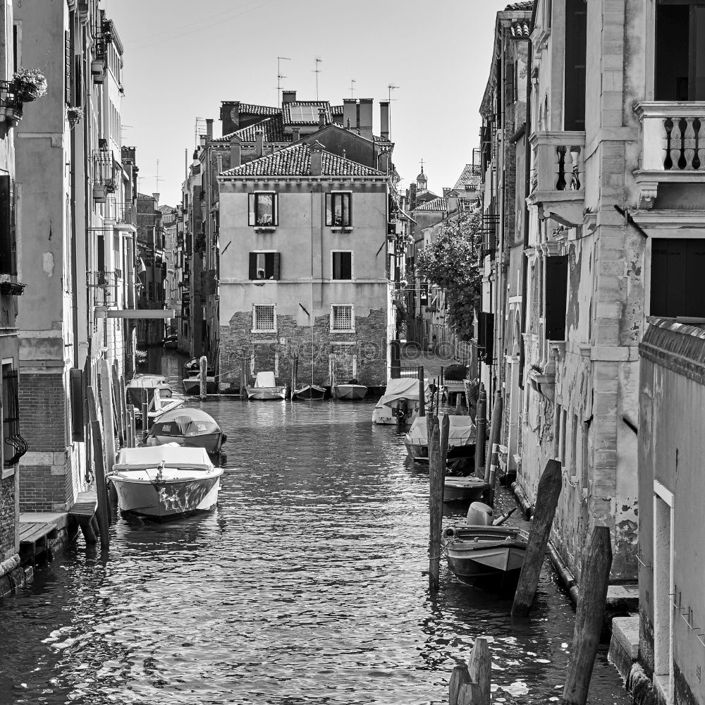 Similar – Canale Grande in black and white