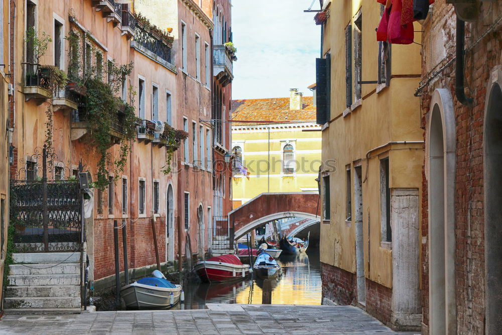 Similar – Klein Venedig: Chioggia