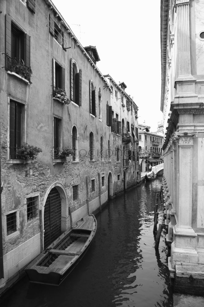 Similar – Foto Bild Rialto Venedig Italien