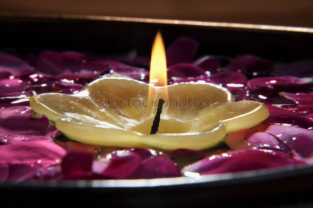 Similar – Image, Stock Photo Six candles Lighting Egg