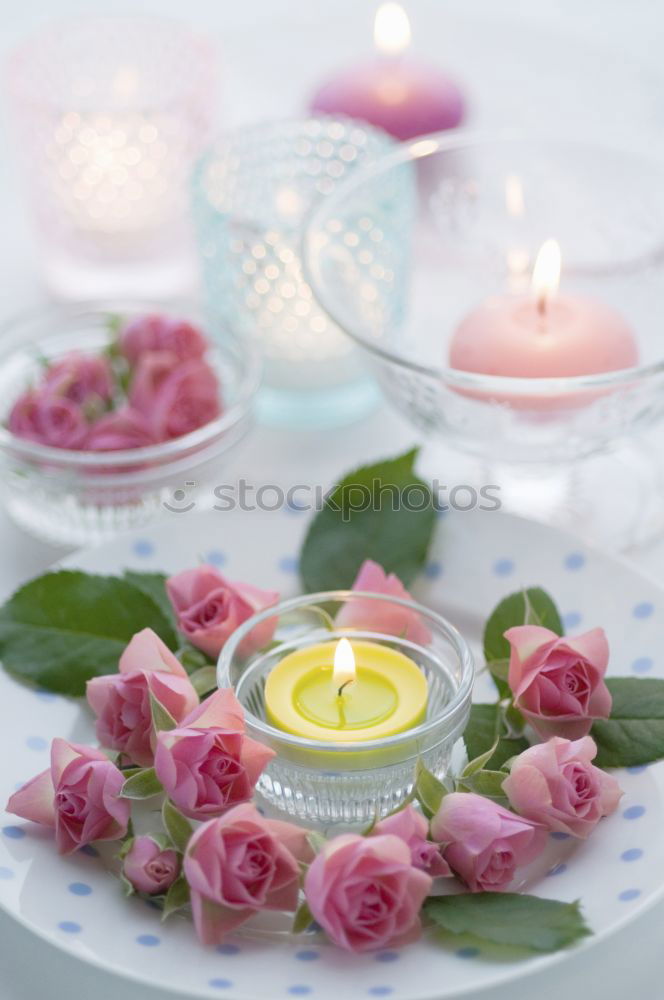 Similar – colourful spring flowers in white water bowl with three burning candles