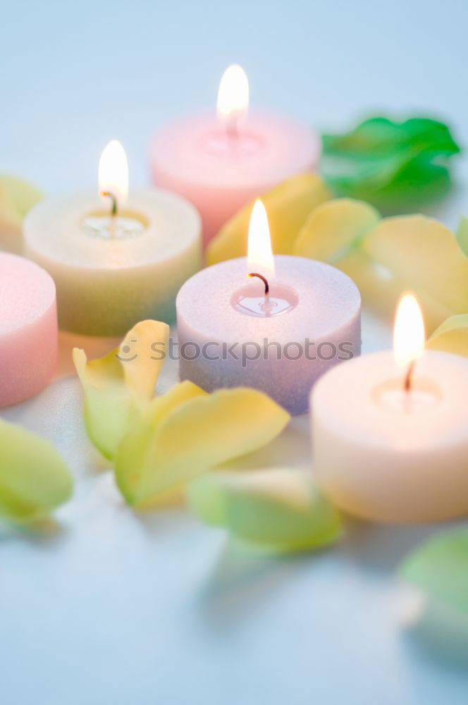 Similar – Lit candle isolated on a pink background. Aromatic pink candle burning