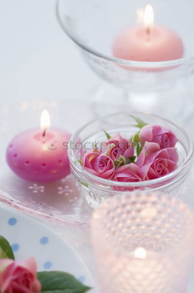 Similar – colourful spring flowers in white water bowl with three burning candles