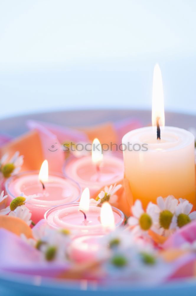 Similar – colourful spring flowers in white water bowl with three burning candles