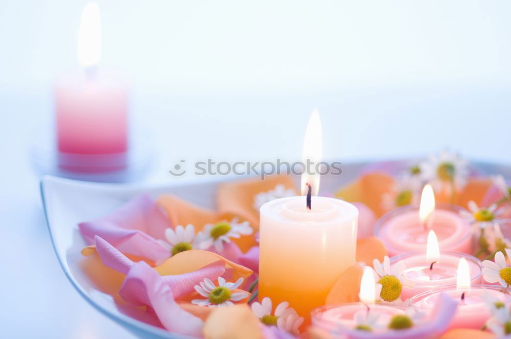 Similar – colourful spring flowers in white water bowl with three burning candles