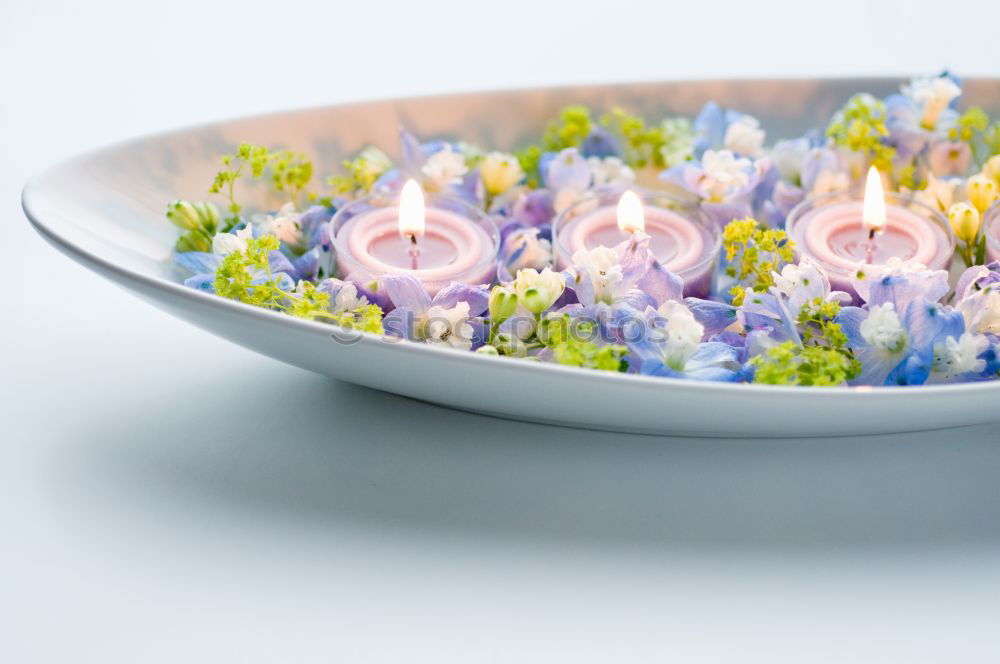 Similar – Image, Stock Photo empty plate with a branch of flowering almond