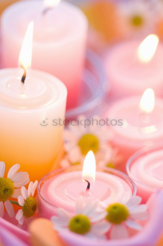 Similar – Lit candle isolated on a pink background. Aromatic pink candle burning