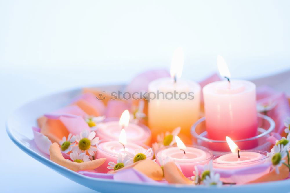 Similar – Lit candle isolated on a pink background. Aromatic pink candle burning