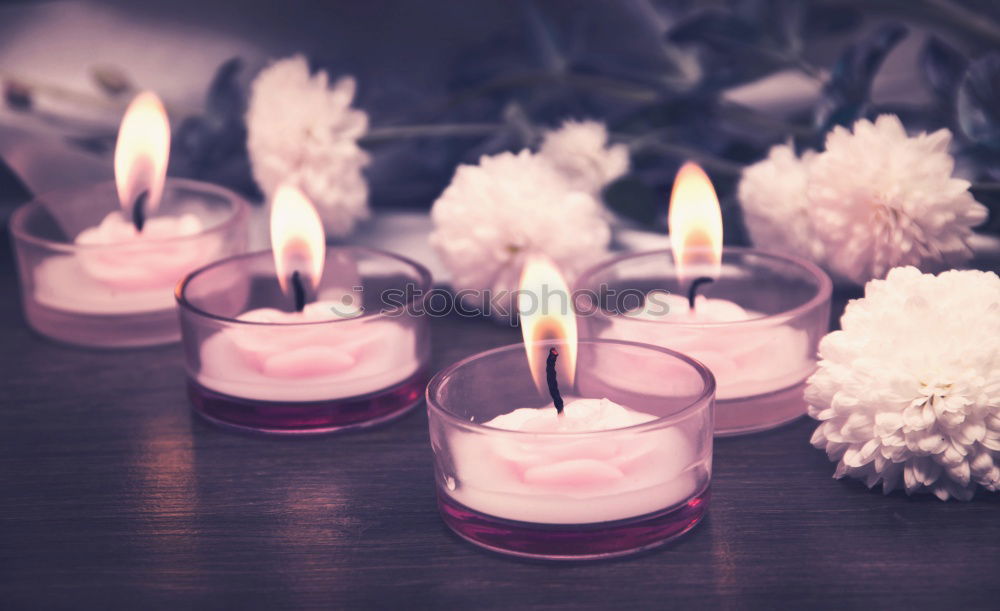 Similar – Lit candle isolated on a pink background. Aromatic pink candle burning