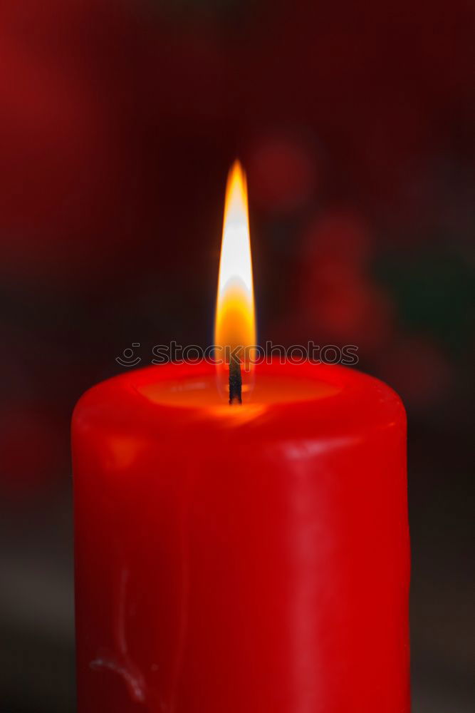 Similar – Image, Stock Photo Second Advent Winter