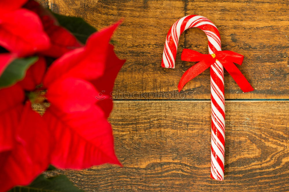 Similar – Image, Stock Photo Surprise l colorful Christmas parcels packed with Christmas paper with red bow, lying on rustic wood. Christmas presents, lie nicely decorated with ribbon on wooden table. Many Christmas parcels packed with wrapping paper with Christmas motif.