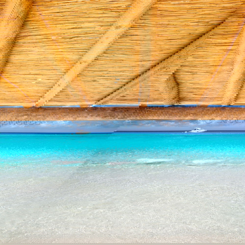 Similar – Image, Stock Photo mauritius and isle Pot