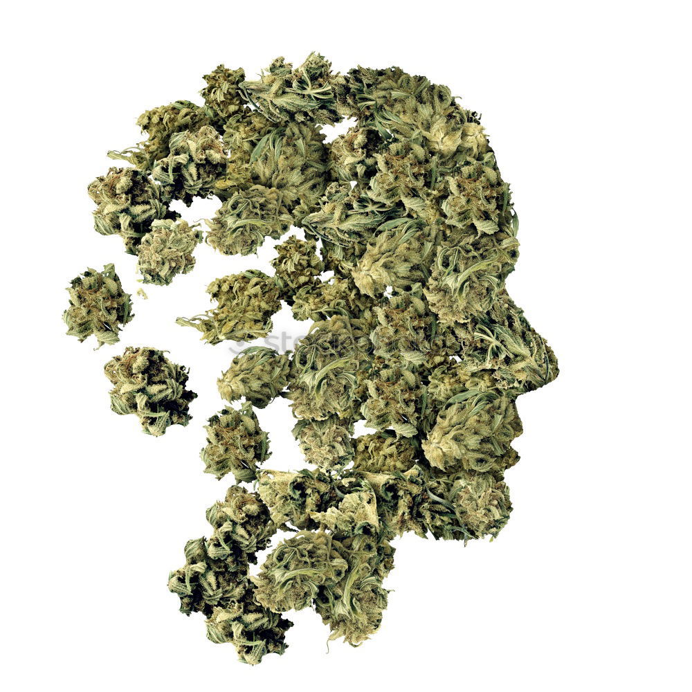 Similar – Image, Stock Photo pile of pot Cannabis Pot