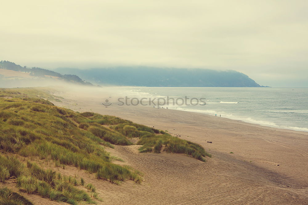 Similar – Image, Stock Photo Picturesque view to coastline